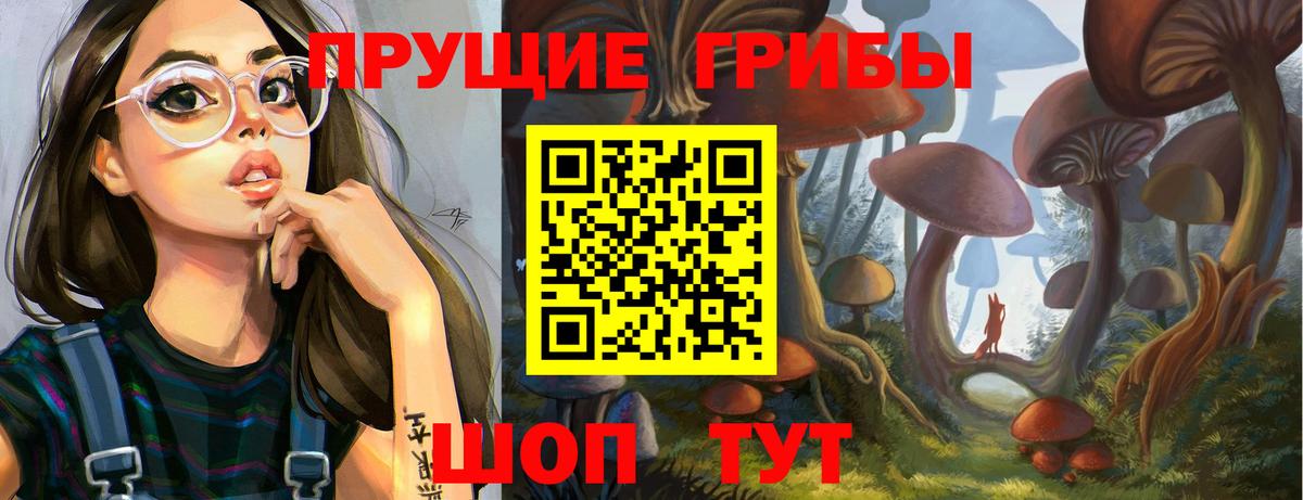 Псилоцибиновые грибы мицелий Добрянка